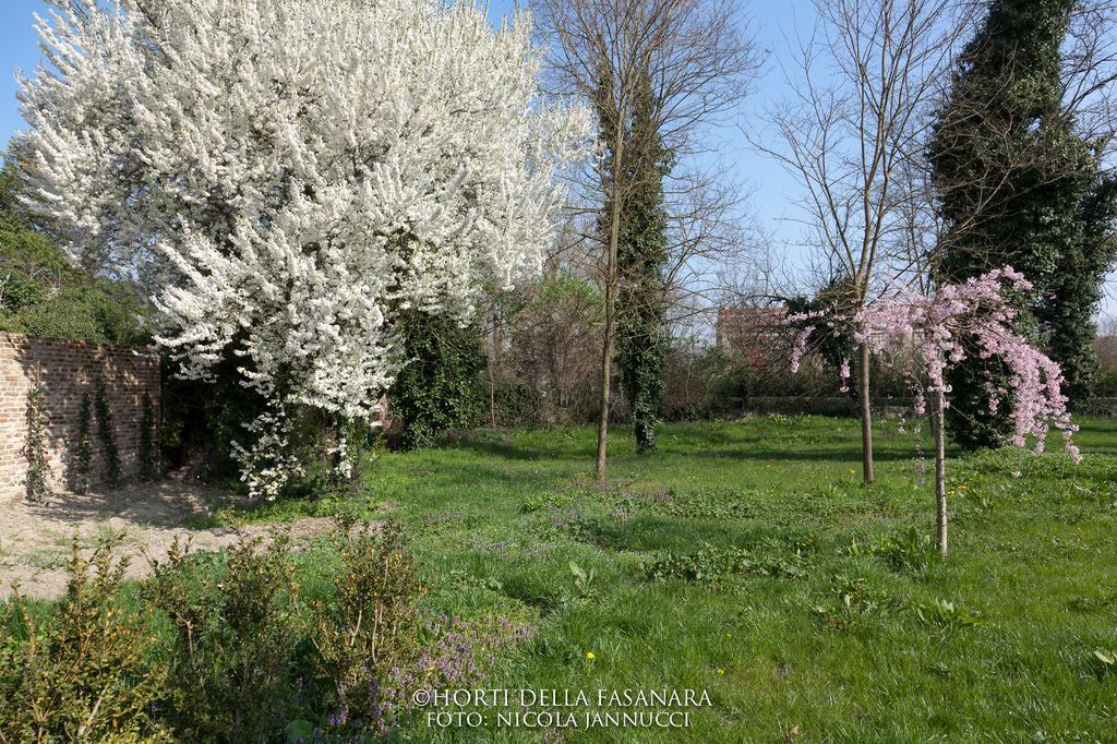 منزل الضيف فيرّارا  في Horti Della Fasanara المظهر الخارجي الصورة